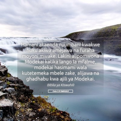 Picture 05 - Esta 5:9 SWHULB - Hamani akaenda nyumbani kwakwe huku akiwa amejawa - Bible Verse Picture