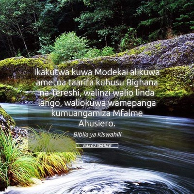 Picture 05 - Esta 6:2 SWHULB - Ikakutwa kuwa Modekai alikuwa ametoa taarifa - Bible Verse Picture