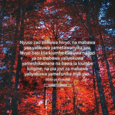 Picture 05 - Ezekieli 1:11 SWHULB - Nyuso zao zilikuwa hivyo, na mabawa yao yalikuwa - Bible Verse Picture