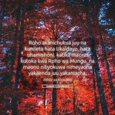 Picture 05 - Ezekieli 11:24 SWHULB - Roho akanichukua juu na kunileta hata Ukaldayo, - Bible Verse Picture