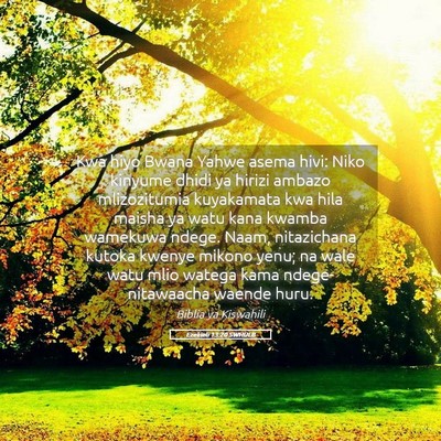 Picture 05 - Ezekieli 13:20 SWHULB - Kwa hiyo Bwana Yahwe asema hivi: Niko kinyume - Bible Verse Picture