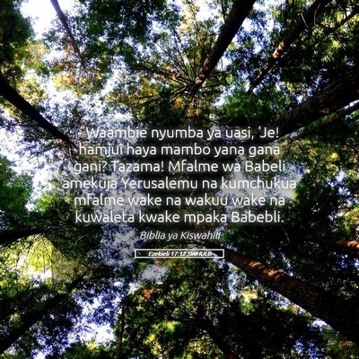Picture 05 - Ezekieli 17:12 SWHULB - “Waambie nyumba ya uasi, 'Je! hamjui haya mambo - Bible Verse Picture