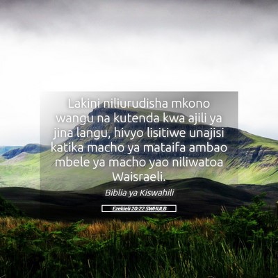 Picture 05 - Ezekieli 20:22 SWHULB - Lakini niliurudisha mkono wangu na kutenda kwa - Bible Verse Picture