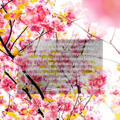Picture 05 - Ezekieli 20:40 SWHULB - Kwa kuwa juu ya mlima wangu mtakatifu, juu ya - Bible Verse Picture