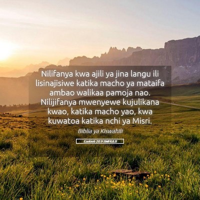 Picture 05 - Ezekieli 20:9 SWHULB - Nilifanya kwa ajili ya jina langu ili - Bible Verse Picture