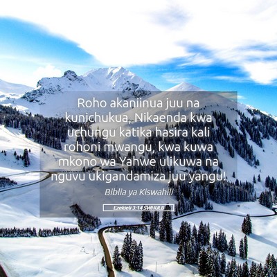 Picture 05 - Ezekieli 3:14 SWHULB - Roho akaniinua juu na kunichukua, Nikaenda kwa - Bible Verse Picture