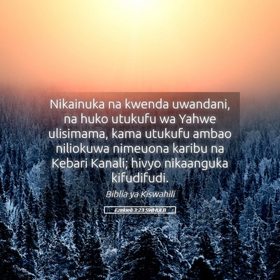 Picture 05 - Ezekieli 3:23 SWHULB - Nikainuka na kwenda uwandani, na huko utukufu wa - Bible Verse Picture