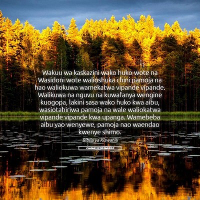 Picture 05 - Ezekieli 32:30 SWHULB - Wakuu wa kaskazini wako huko-wote na Wasidoni - Bible Verse Picture