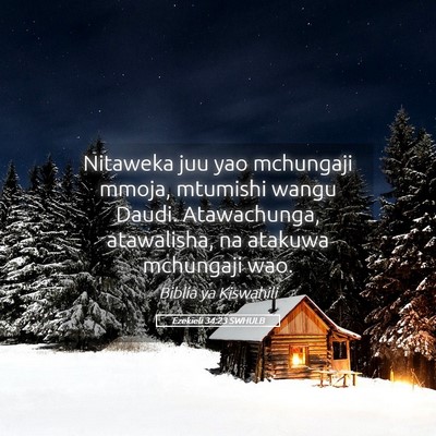 Picture 05 - Ezekieli 34:23 SWHULB - Nitaweka juu yao mchungaji mmoja, mtumishi wangu - Bible Verse Picture