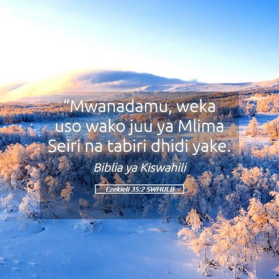 Picture 05 - Ezekieli 35:2 SWHULB - “Mwanadamu, weka uso wako juu ya Mlima Seiri na - Bible Verse Picture