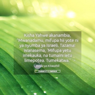 Picture 05 - Ezekieli 37:11 SWHULB - Kisha Yahwe akanambia, “Mwanadamu, mifupa hii - Bible Verse Picture