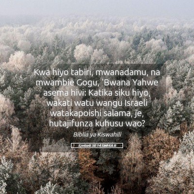 Picture 05 - Ezekieli 38:14 SWHULB - Kwa hiyo tabiri, mwanadamu, na mwambie Gogu, - Bible Verse Picture