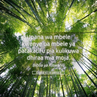 Picture 05 - Ezekieli 41:14 SWHULB - Upana wa mbele kwenye ua mbele ya patakatifu pia - Bible Verse Picture
