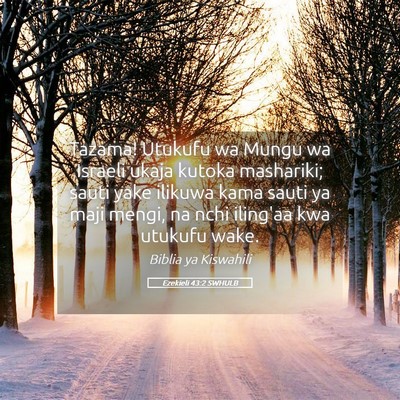 Picture 05 - Ezekieli 43:2 SWHULB - Tazama! Utukufu wa Mungu wa Israeli ukaja kutoka - Bible Verse Picture