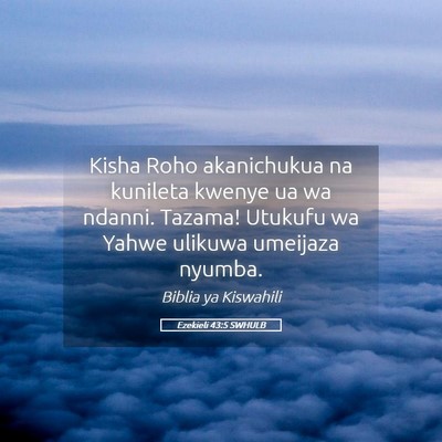 Picture 05 - Ezekieli 43:5 SWHULB - Kisha Roho akanichukua na kunileta kwenye ua wa - Bible Verse Picture