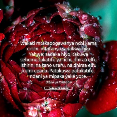 Picture 05 - Ezekieli 45:1 SWHULB - Wakati mtakapogawanya nchi kama urithi, mtafanya - Bible Verse Picture