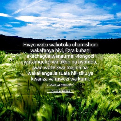 Picture 05 - Ezra 10:16 SWHULB - Hivyo watu waliotoka uhamishoni wakafanya hivi, - Bible Verse Picture