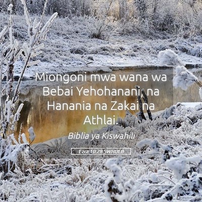 Picture 05 - Ezra 10:28 SWHULB - Miongoni mwa wana wa Bebai Yehohanani, na Hanania - Bible Verse Picture