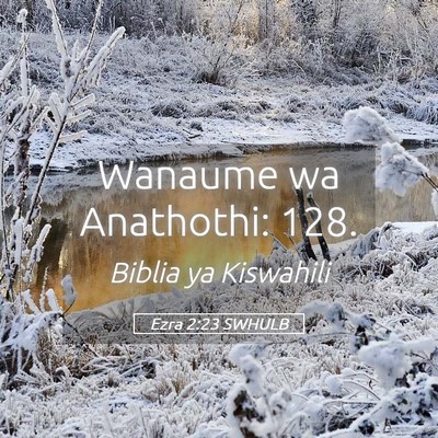 Picture 05 - Ezra 2:23 SWHULB - Wanaume wa Anathothi: - Bible Verse Picture