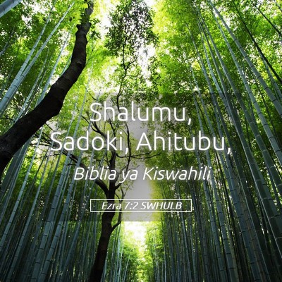 Picture 05 - Ezra 7:2 SWHULB - Shalumu, Sadoki, - Bible Verse Picture