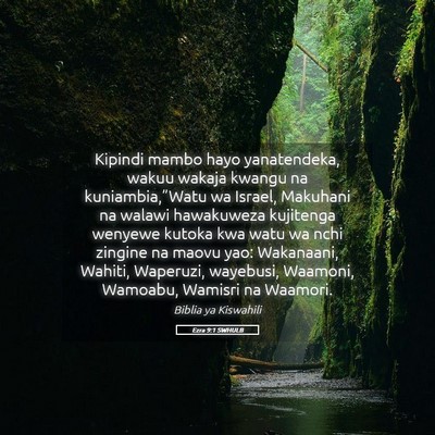 Picture 05 - Ezra 9:1 SWHULB - Kipindi mambo hayo yanatendeka, wakuu wakaja - Bible Verse Picture