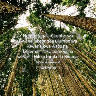 Picture 05 - Hagai 1:13 SWHULB - Ndipo Hagai, mjumbe wa Bwana, akaongea ujumbe wa - Bible Verse Picture