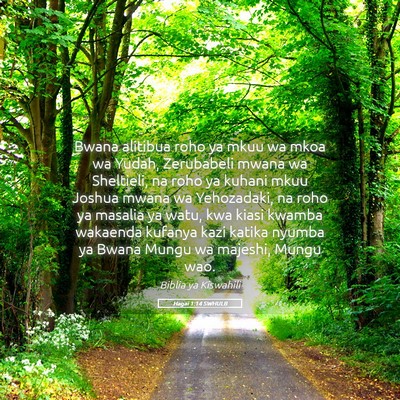 Picture 05 - Hagai 1:14 SWHULB - Bwana alitibua roho ya mkuu wa mkoa wa Yudah, - Bible Verse Picture