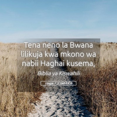 Picture 05 - Hagai 1:3 SWHULB - Tena neno la Bwana lilikuja kwa mkono wa nabii - Bible Verse Picture