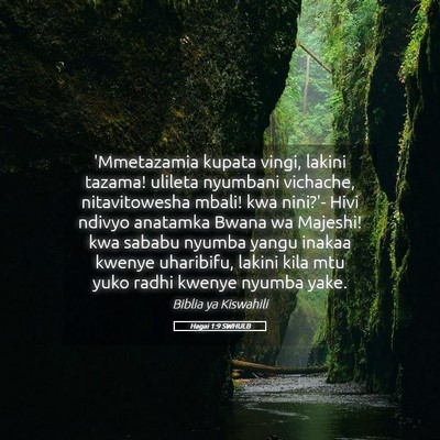 Picture 05 - Hagai 1:9 SWHULB - 'Mmetazamia kupata vingi, lakini tazama! ulileta - Bible Verse Picture