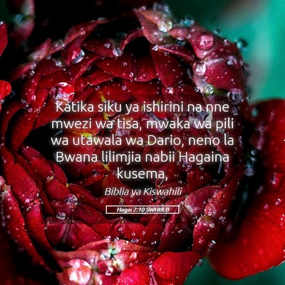 Picture 05 - Hagai 2:10 SWHULB - Katika siku ya ishirini na nne mwezi wa tisa, - Bible Verse Picture