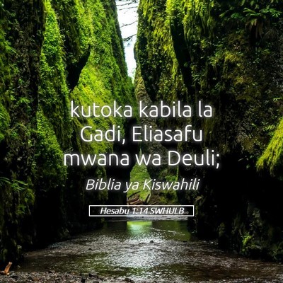 Picture 05 - Hesabu 1:14 SWHULB - kutoka kabila la Gadi, Eliasafu mwana wa - Bible Verse Picture