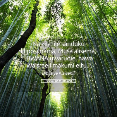 Picture 05 - Hesabu 10:36 SWHULB - Na kila lile sanduku liliposimama, Musa alisema, - Bible Verse Picture