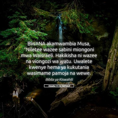 Picture 05 - Hesabu 11:16 SWHULB - BWANA akamwambia Musa, “Niletee wazee sabini - Bible Verse Picture