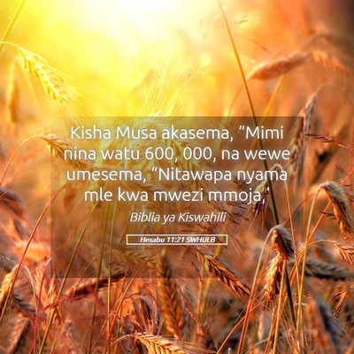 Picture 05 - Hesabu 11:21 SWHULB - Kisha Musa akasema, “Mimi nina watu 600, 000, - Bible Verse Picture