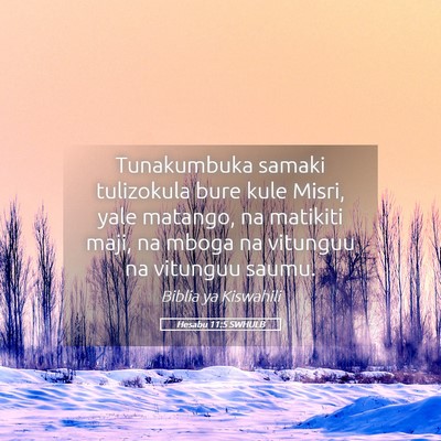 Picture 05 - Hesabu 11:5 SWHULB - Tunakumbuka samaki tulizokula bure kule Misri, - Bible Verse Picture