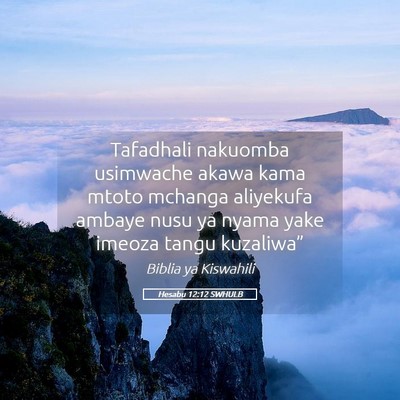 Picture 05 - Hesabu 12:12 SWHULB - Tafadhali nakuomba usimwache akawa kama mtoto - Bible Verse Picture