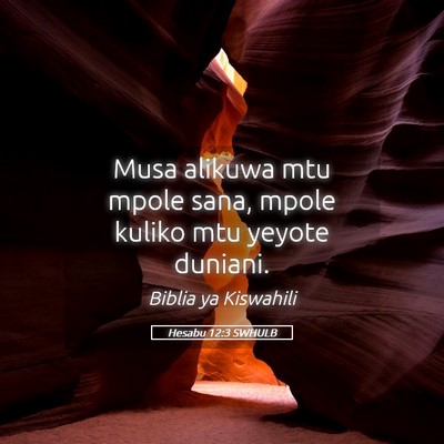 Picture 05 - Hesabu 12:3 SWHULB - Musa alikuwa mtu mpole sana, mpole kuliko mtu - Bible Verse Picture