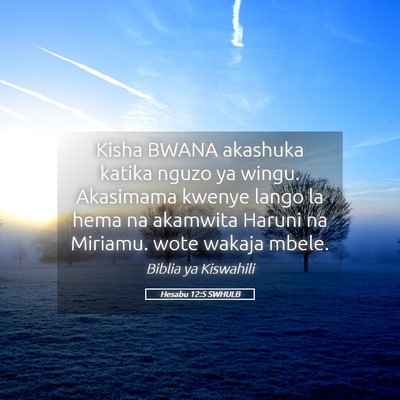 Picture 05 - Hesabu 12:5 SWHULB - Kisha BWANA akashuka katika nguzo ya wingu. - Bible Verse Picture
