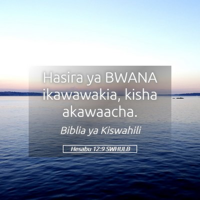 Picture 05 - Hesabu 12:9 SWHULB - Hasira ya BWANA ikawawakia, kisha - Bible Verse Picture