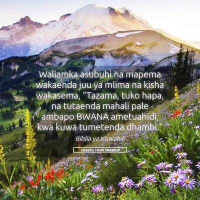 Picture 05 - Hesabu 14:40 SWHULB - Waliamka asubuhi na mapema wakaenda juu ya mlima - Bible Verse Picture