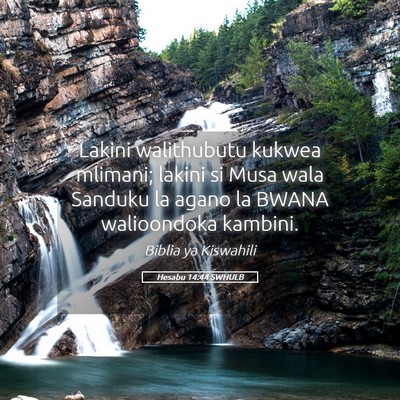 Picture 05 - Hesabu 14:44 SWHULB - Lakini walithubutu kukwea mlimani; lakini si Musa - Bible Verse Picture