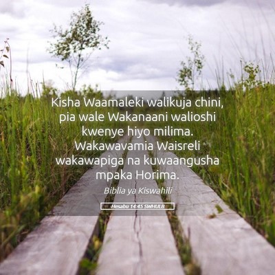 Picture 05 - Hesabu 14:45 SWHULB - Kisha Waamaleki walikuja chini, pia wale - Bible Verse Picture