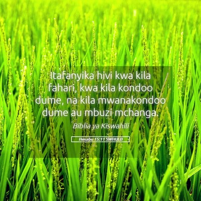 Picture 05 - Hesabu 15:11 SWHULB - Itafanyika hivi kwa kila fahari, kwa kila kondoo - Bible Verse Picture