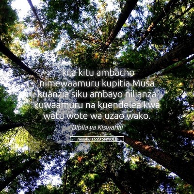 Picture 05 - Hesabu 15:23 SWHULB - -kila kitu ambacho nimewaamuru kupitia Musa - Bible Verse Picture