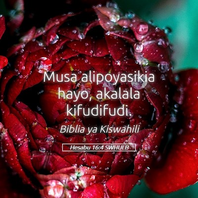 Picture 05 - Hesabu 16:4 SWHULB - Musa alipoyasikia hayo, akalala - Bible Verse Picture