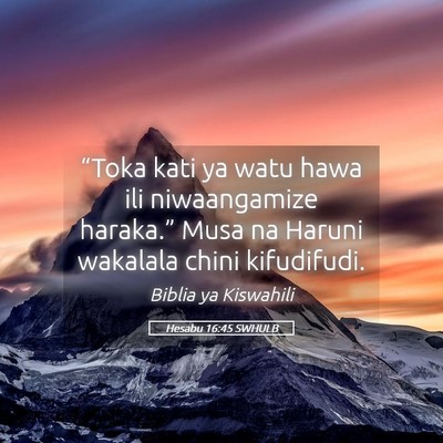 Picture 05 - Hesabu 16:45 SWHULB - “Toka kati ya watu hawa ili niwaangamize - Bible Verse Picture
