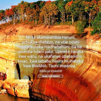 Picture 05 - Hesabu 16:46 SWHULB - Musa akamwambia Haruni, uchukue chetezo, na utie - Bible Verse Picture
