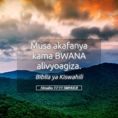 Picture 05 - Hesabu 17:11 SWHULB - Musa akafanya kama BWANA - Bible Verse Picture