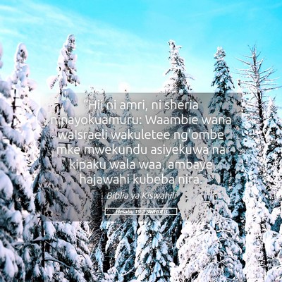 Picture 05 - Hesabu 19:2 SWHULB - “Hii ni amri, ni sheria ninayokuamuru: Waambie - Bible Verse Picture