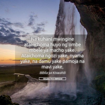 Picture 05 - Hesabu 19:5 SWHULB - Na kuhani mwingine atamchoma huyo ng'ombe mbele - Bible Verse Picture